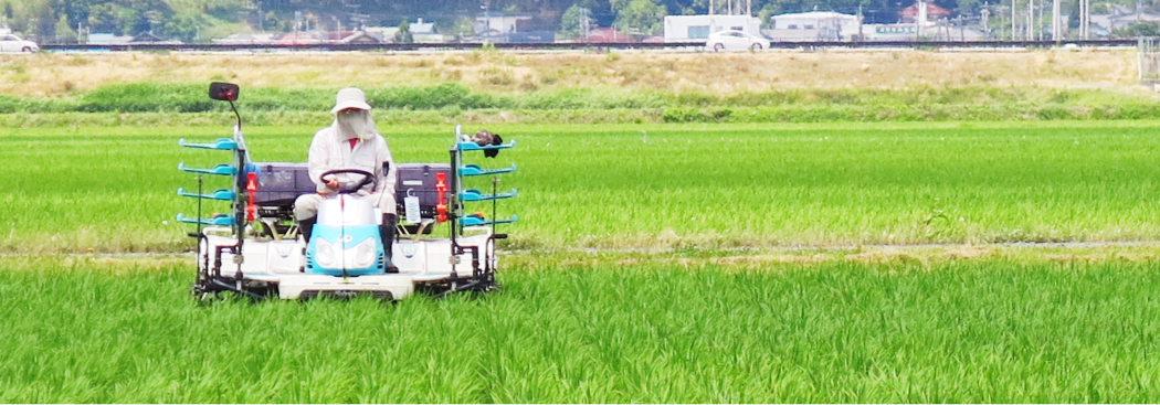 東日本初となる竹パウダー床での育苗の実践など、 手間をかけ、美味しさを追及した米づくりに取り組んでいます。