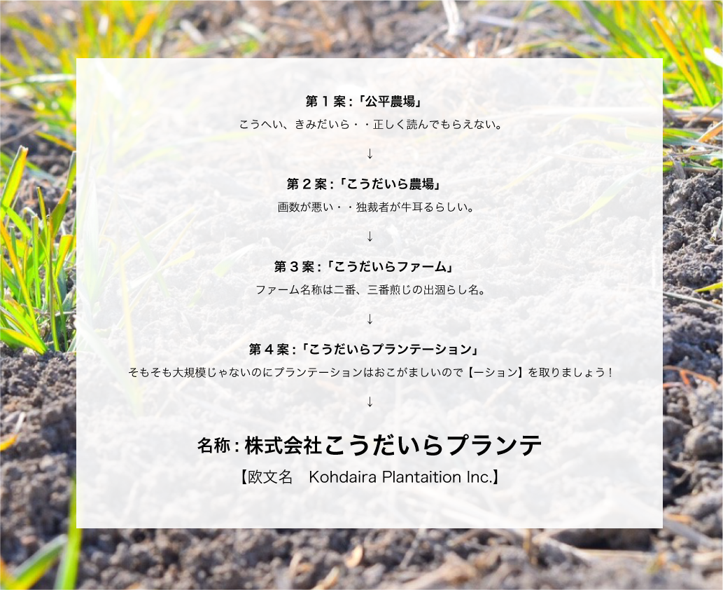 社名由来