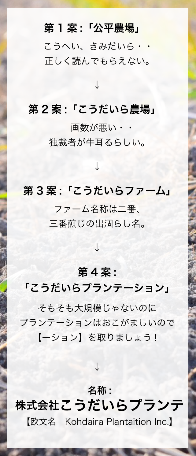 社名由来