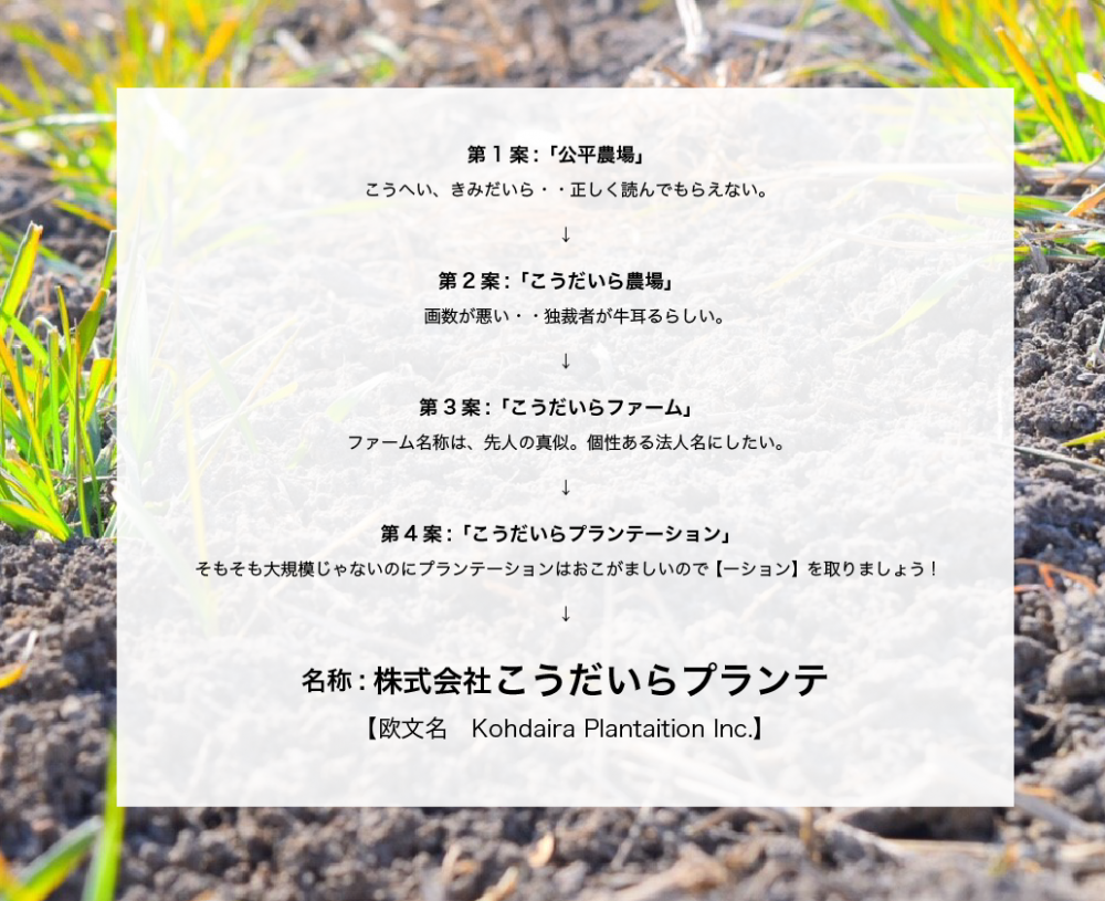 社名由来