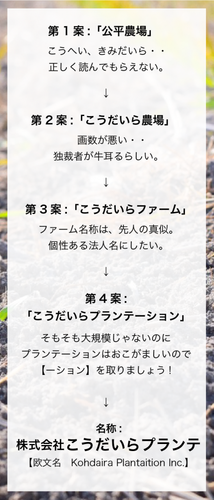 社名由来